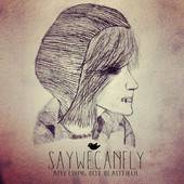 SayWeCanFly : Anything But Beautiful
